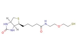 eMolecules​&nbsp;Broadpharm / Biotin-PEG-Thiol MW 2000 / 500mg / 627958177 / BP-25201 /  /  / [null] / 347.490 / C14H25N3O3S2