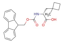 eMolecules​&nbsp;AstaTech / (2R)-2-(([(9H-FLUOREN-9-YL)METHOXY]CARBONYL)AMINO)-3-(1-METHYLCYCLOBUTYL)PROPANOIC ACID / 0.1g / 624139447 / E73576 / 95.000 / 2231664-19-8 / [null] / 379.456 / C23H25NO4