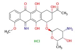 eMolecules​ 67324-99-6 | Medchem Express | 5-Iminodaunorubicin (hydrochloride)
