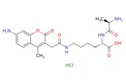 eMolecules​&nbsp;Medchem Express / D-Ala-Lys-AMCA (hydrochloride) / 5mg / 572596519 / HY-111956B /  / 2703746-41-0 / [null] / 468.940 / C21H29ClN4O6