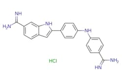 eMolecules​ 2741856-68-6 | Medchem Express | Synucleozid (hydrochloride)