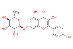 eMolecules​ 20196-89-8 | Medchem Express | Kaempferol-7-O-rhamnoside |