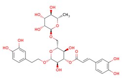 eMolecules​ 1177581-50-8 | Medchem Express | Forsythoside I | 5mg | 552386900