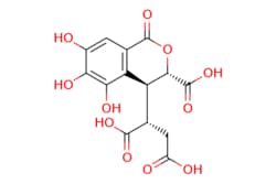eMolecules​&nbsp;23725-05-5 | Medchem Express |  Chebulic acid |  5mg | 506404288 | HY-N4170 | 356.239 |  C14H12O11