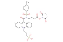 eMolecules​ Medchem Express / NSP-SA-NHS / 5mg / 482204559 / HY-D0893 /