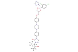 eMolecules​ Medchem Express | Hydroxy Itraconazole-d8 | 1mg | 446261764