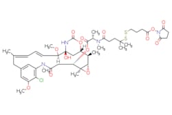 eMolecules​ 1626359-62-3 | Medchem Express | SPDB-DM4 | 1mg | 446261285