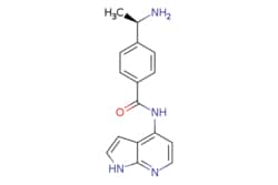 eMolecules​ 199433-58-4 | Medchem Express | Y-33075 | 10mg | 446255869