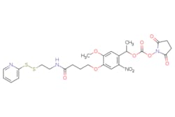 eMolecules​ Broadpharm / PC SPDP-NHS carbonate ester / 10mg / 445408920