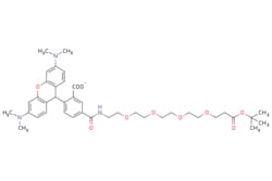 eMolecules​&nbsp;Broadpharm / TAMRA-PEG4-t-butyl ester / 10mg / 445408889 / BP-24263 / 90.000 / 2353409-64-8 / [null] / 735.875 / C40H53N3O10