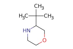 eMolecules​ 1260664-66-1 | 3-TERT-BUTYLMORPHOLINE | AstaTech | MFCD18250296