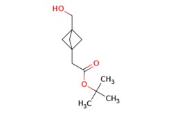 eMolecules​&nbsp;AstaTech / BICYCLO[1.1.1]PENTANE-1-ACETIC ACID 3-(HYDROXY-METHYL)- 11-DIMETHYLETHYL ESTER / 0.1g / 308520533 / P14297 / 95.000 / 1113001-78-7 / MFCD27987018 / 212.289 / C12H20O3