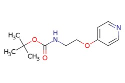 eMolecules​ AstaTech / TERT-BUTYL 2-(PYRIDIN-4-YLOXY)ETHYLCARBAMATE / 0.25g