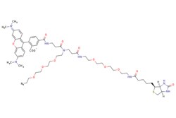 eMolecules​&nbsp;Broadpharm / TAMRA-Azide-PEG-Biotin / 5mg / 268505047 / BP-22474 / 93.000 / 1797415-74-7 / [null] / 1174.380 / C57H79N11O14S