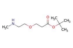 eMolecules​ Broadpharm / Methylamino-PEG1-t-butyl ester / 100mg / 266683160