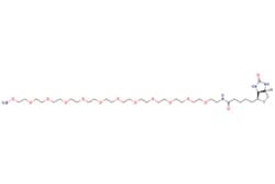 eMolecules​&nbsp;Broadpharm / Biotin-PEG11-oxyamine HCl salt / 50mg / 249969322 / BP-22180 / 98.000 /  / [null] / 786.980 / C34H66N4O14S