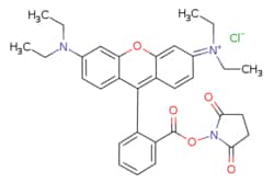 eMolecules​&nbsp;Broadpharm / Rhodamine B NHS ester / 100mg / 795361857 / BP-40213 / 90.000 / 144700-55-0 / [null] / 576.090 / C32H34ClN3O5