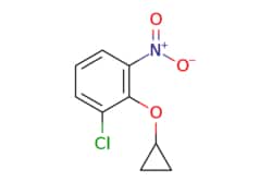 eMolecules​ Synthonix / 1-chloro-2-cyclopropoxy-3-nitrobenzene / 250mg