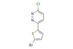 eMolecules​ Synthonix / 3-(5-Bromo-2-thienyl)-6-chloropyridazine / 1g /