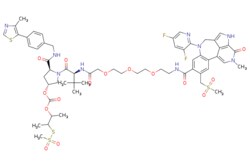 eMolecules​ 2417370-49-9 | Medchem Express | PROTAC BRD4 Degrader-10 |