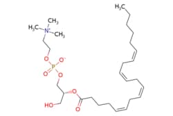 eMolecules​ Broadpharm / 2-Arachidonoyl-sn-glycero-3-phosphocholine (90%)