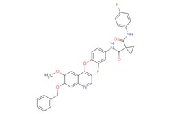 eMolecules​ Synthonix / N-[3-Fluoro-4-[[6-methoxy-7-(phenylmethoxy)-4-quinolinyl]oxy]phenyl]-N-(4-fluorophenyl)-11-cyclopropanedicarboxamide
