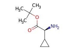 eMolecules​&nbsp;874440-05-8 | (S)-Amino-cyclopropyl-acetic acid tert-butyl ester | J&W PharmLab LLC | MFCD24849145 | 171.240 | C9H17NO2 | 96.000 | CC(C)(C)OC(=O)[C@@H](N)C1CC1 | 250mg | 773119624