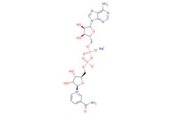 eMolecules​&nbsp;20111-18-6 | beta-NicotinaMide Adenine Dinucleotide Sodium Salt | Broadpharm | MFCD00148917 | 685.411 | C21H26N7NaO14P2 | 0.000 | [Na+].NC(=O)c1ccc[n+](c1)[C@@H]1O[C@H](COP([O-])(=O)OP([O-])(=O)OC[C@H]2O[C@H]([C@H](O)[C@@H]2O)n2cnc3c(N)ncnc23)[C@@H](O)[C@H]1O | 10g | 761707586