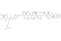 eMolecules​ Broadpharm / Val-Cit-PAB-MMAF / 25mg / 761707314 / BP-29542
