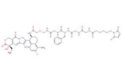 eMolecules​ Broadpharm / Deruxtecan / 5mg / 761707286 / BP-29531 / 95.000