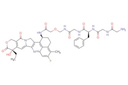 eMolecules​ Broadpharm / Exatecan-2-(aminomethoxy)acetamide-Gly-Phe-Gly-Gly