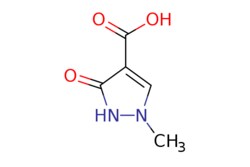 eMolecules​&nbsp;Ambeed / 1-Methyl-3-oxo-23-dihydro-1H-pyrazole-4-carboxylic acid / 1g / 742299695 / A245685 /  / 178316-79-5 / MFCD29477735 / 142.114 / C5H6N2O3