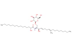 eMolecules​ 88642-46-0 | Medchem Express | Cerebroside B | 1mg | 721309823