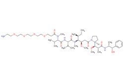 eMolecules​&nbsp;Amino-PEG4-MMAE | Broadpharm |965.284 | C50H88N6O12 | 98.000 | CC[C@H](C)[C@@H]([C@@H](CC(=O)N1CCC[C@H]1[C@H](OC)[C@@H](C)C(=O)N[C@H](C)[C@@H](O)c1ccccc1)OC)N(C)C(=O)[C@@H](NC(=O)[C@H](C(C)C)N(C)C(=O)CCOCCOCCOCCOCCN)C(C)C | 10mg | 718091586