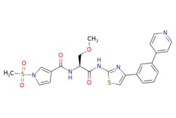 eMolecules​&nbsp;Medchem Express / FHT-1204 / 5mg / 713706698 / HY-144897 /  / 2468048-24-8 / [null] / 525.600 / C24H23N5O5S2