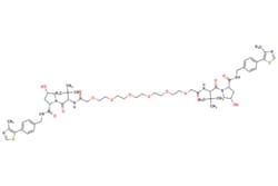 eMolecules​ 2244684-50-0 | Medchem Express | CMP98 | 5mg | 713706382 |