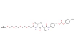 eMolecules​&nbsp;Boc-PEG4-Val-Ala-PAB-PNP | Broadpharm |805.879 | C38H55N5O14 | 0.000 | CC(C)[C@H](NC(=O)CCOCCOCCOCCOCCNC(=O)OC(C)(C)C)C(=O)N[C@@H](C)C(=O)Nc1ccc(COC(=O)Oc2ccc(cc2)[N+]([O-])=O)cc1 | 50mg | 713699602