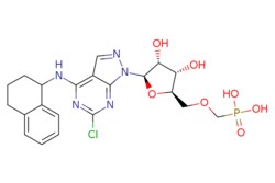 eMolecules​ 2381269-09-4 | 6-Chloro-1-[5-O-(phosphonomethyl)-?-D-ribofuranosyl]-N-(1,2,3,4-tetrahydro-naphthalen-1-yl)-1H-pyrazolo[3,4-d]pyrimidin-4-amine