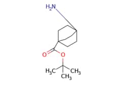 eMolecules​&nbsp;JW PharmLab LLC / 4-Amino-bicyclo[2.2.2]octane-1-carboxylic acid tert-butyl ester / 500mg / 689216721 / 15R0927 / 96.000 / 862501-92-6 / MFCD29922243 / 225.332 / C13H23NO2