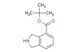 eMolecules​&nbsp;JW PharmLab LLC / 23-Dihydro-1H-isoindole-4-carboxylic acid tert-butyl ester / 500mg / 686919741 / 48R0962 / 97.000 / 1987278-11-4 / MFCD28389439 / 219.284 / C13H17NO2
