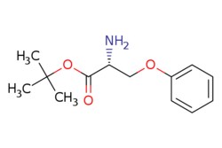 eMolecules​&nbsp;JW PharmLab LLC / (R)-2-Amino-3-phenoxy-propionic acid tert-butyl ester / 1g / 686919604 / 15R0911 / 97.000 / 2349963-77-3 / [null] / 237.299 / C13H19NO3