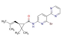 eMolecules​ 2365504-95-4 | Medchem Express | BRD-8000.3 | 5mg | 686240602