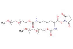eMolecules​ Broadpharm / m-PEG-Lys-NHS ester MW 40000 / 1g / 627958056