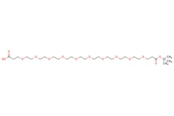 eMolecules​ Broadpharm / Acid-PEG10-t-butyl ester / 100mg / 599128888 /