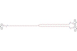 eMolecules​&nbsp;Broadpharm / Propane-123-(PEG11-DBCO) / 25mg / 599128869 / BP-25629 / 95.000 /  / [null] / 2537.004 / C132H194N6O42