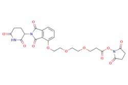eMolecules​&nbsp;Broadpharm / Thalidomide-O-PEG2-NHS ester / 100mg / 591908379 / BP-25500 / 98.000 / 2639395-34-7 / [null] / 531.474 / C24H25N3O11