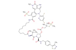 eMolecules​&nbsp;2417370-39-7 | Medchem Express |  PROTAC BRD4 degrader for PAC-1 |  1mg | 527574178 | HY-129938 | 1306.59 |  C62H77F2N9O12S4