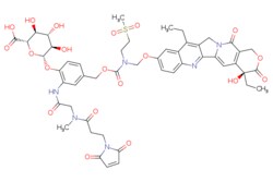 eMolecules​ Medchem Express / MAC glucuronide phenol-linked SN-38 / 1mg
