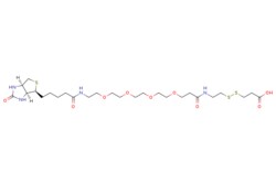 eMolecules​&nbsp;Broadpharm / Biotin-PEG4-S-S-acid / 50mg / 495728271 / BP-24388 / 98.000 / 1380166-80-2 / [null] / 654.850 / C26H46N4O9S3
