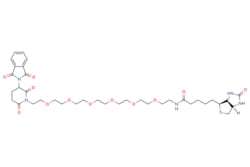 eMolecules​ Broadpharm / D-Biotin-PEG6-Thalidomide / 10mg / 490840929 /